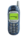 Best available price of Motorola T190 in Namibia