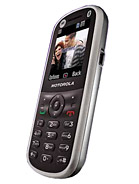 Best available price of Motorola WX288 in Namibia