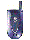 Best available price of Motorola V66i in Namibia